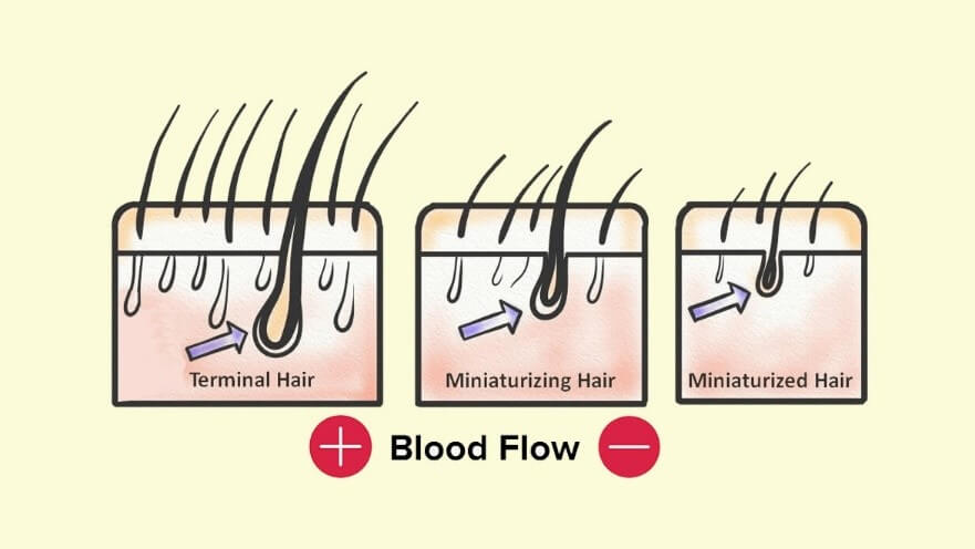 Blood flow